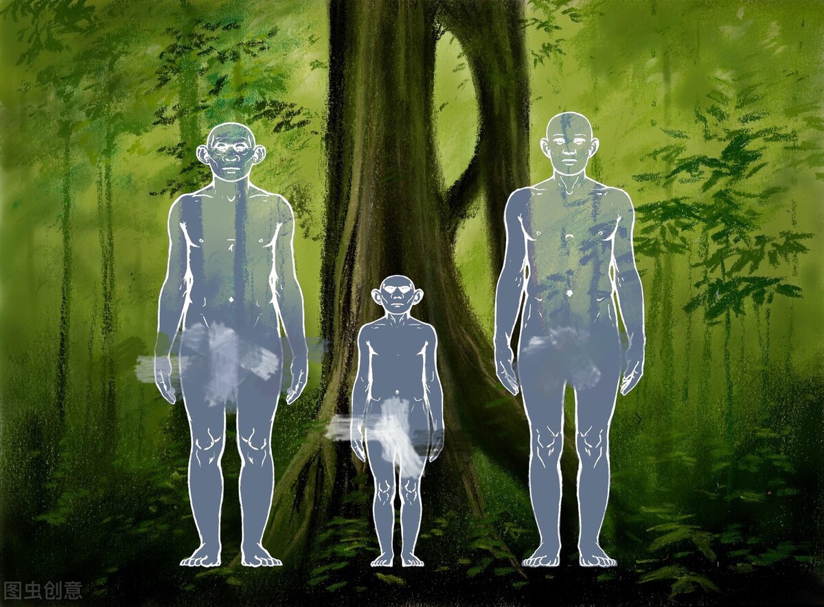 为何脱毛？114万年前人类褪去毛发，留下腋窝、阴毛究竟有啥用？
