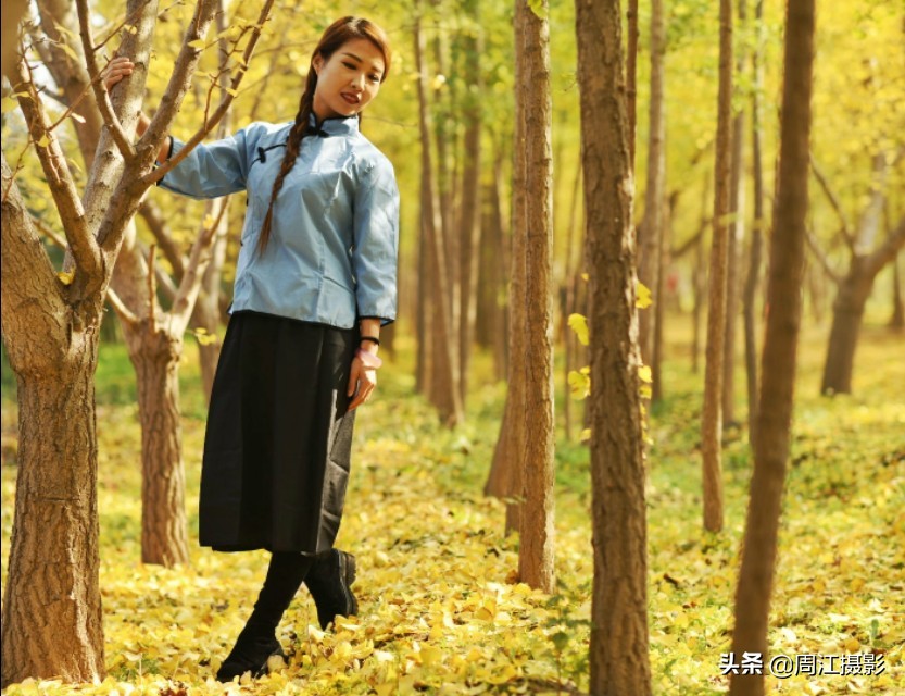 卖不掉的银杏树苗，如今成了乡村旅游热点
