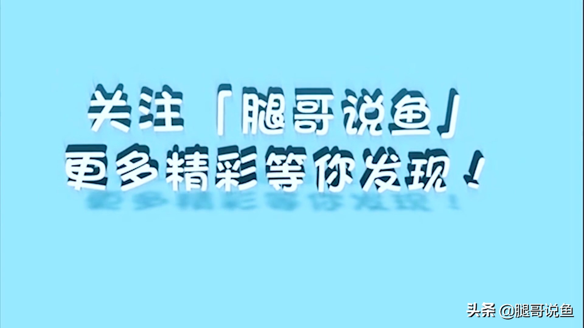 三湖慈鲷蝴蝶鱼含卵,三湖慈鲷孔雀属幼鱼图