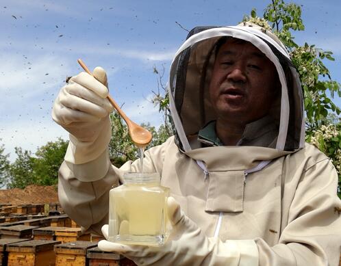 槐花蜜冬天什么颜色,槐花蜂蜜颜色深好还是浅