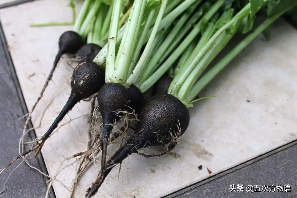 欧洲十大奇怪蔬菜 (欧洲冷门蔬菜)