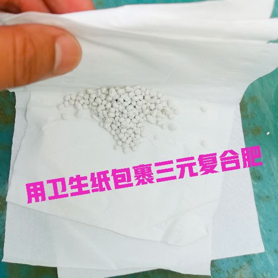 睡莲的正确摆放方法及禁忌,家庭养睡莲放哪里最好
