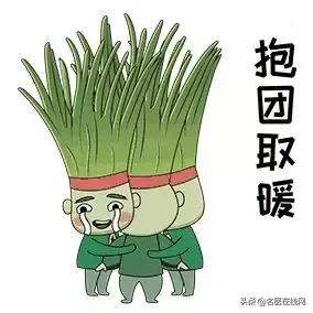 韭菜真的可以补肾吗最权威的说法,韭菜根有补肾壮阳的药效吗