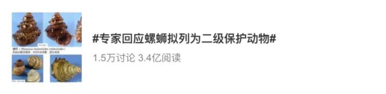 吃过不容错过的广西正宗螺蛳粉,广西哪里的螺蛳粉最出名最正宗