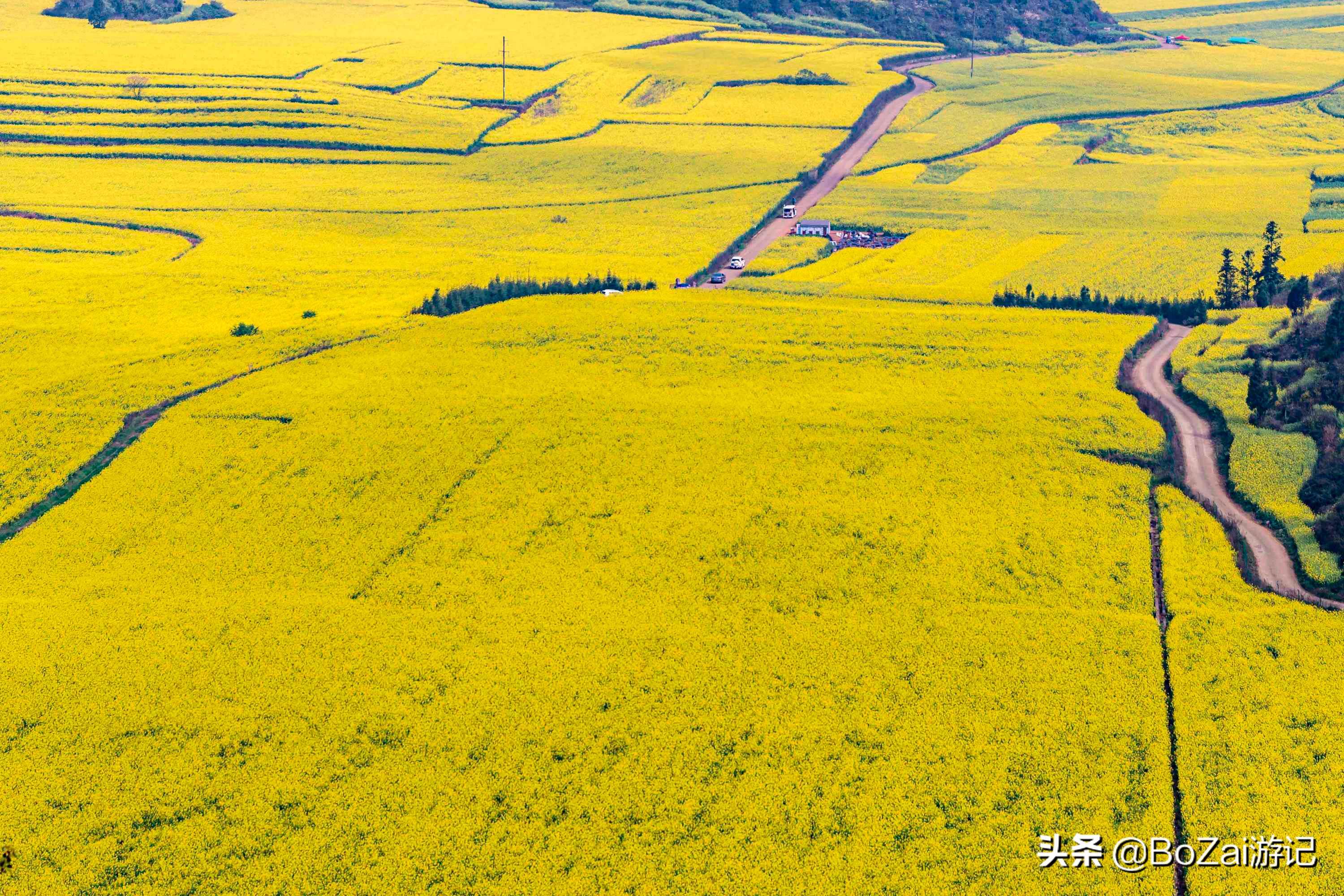 云南旅游攻略最佳线路洱海,到云南旅游必去景点推荐