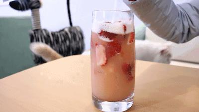 猫主子驾到,猫咪主子驾到