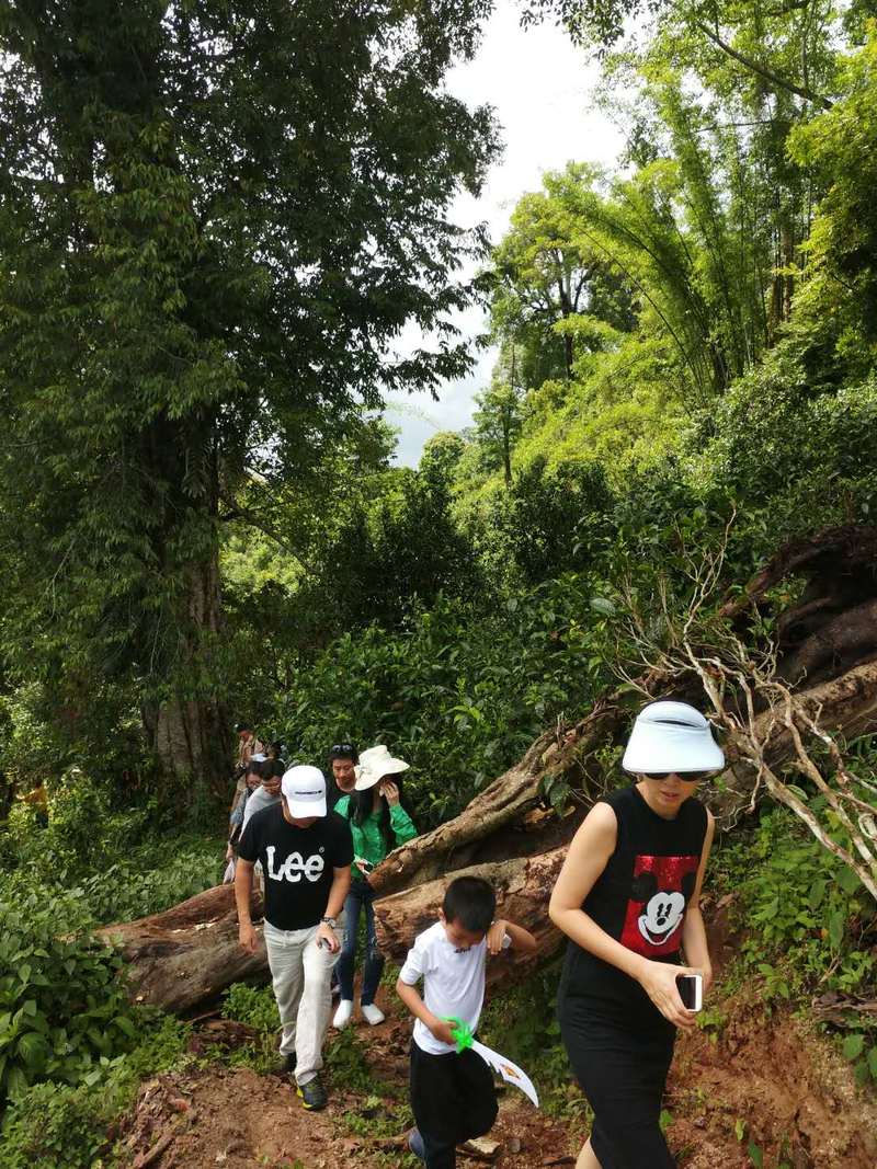 鏈湪鍙よ尪濡備綍,鏈湪鍙よ尪2018鐔熻尪