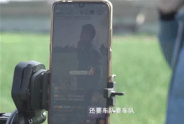 大树哥向小琳妹承诺了什么,大树哥捐菜10万斤视频