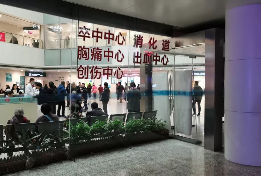 一只鸭引发血案,一只鸭引发的血案