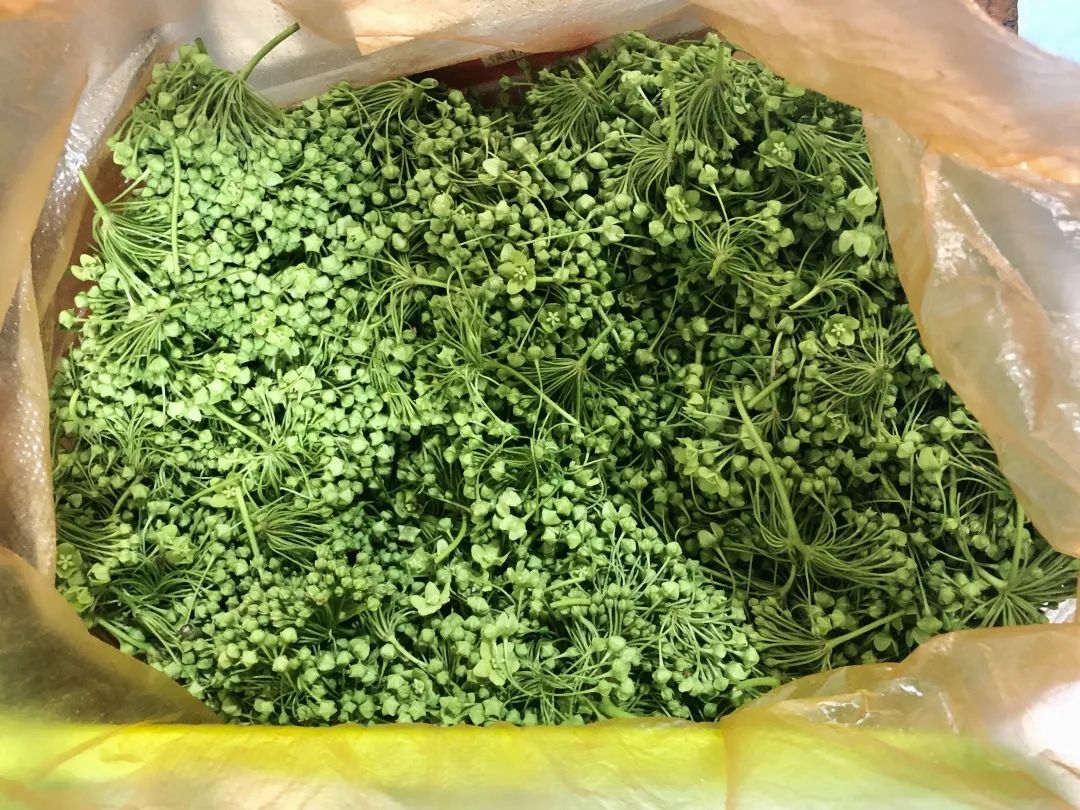 云南人最认同的本地食材,外省人来云南没有见过的菜