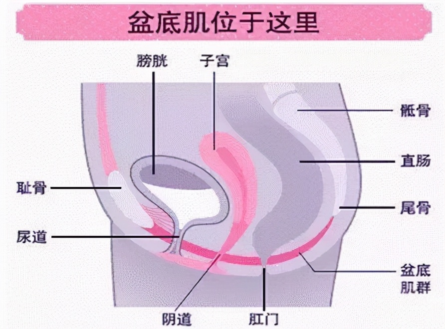 生命汇国际整合医疗提醒您：产后改善盆底肌松弛这3件事不要做
