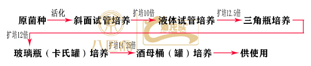 葡萄酒之酵母发酵技术