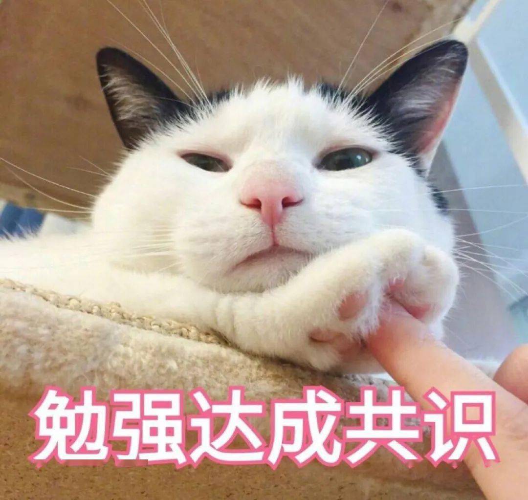 2021年苹果公认最好的三款手机,几款苹果手机测评最好用