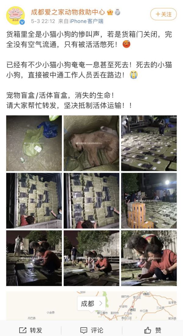 “宠物盲盒”再次秘密上架：血染的快递，是宠爱还是*杀虐**