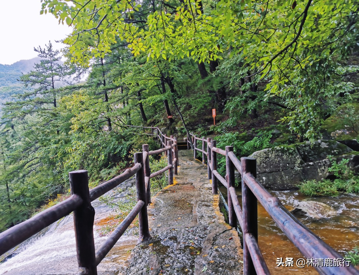 河南适合老年人旅游的景点排名,河南省适合老年人的旅游景点排名