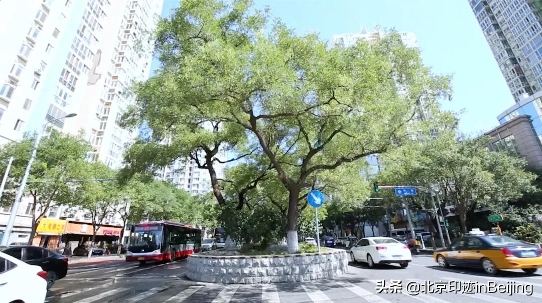 鐗涜鑳″悓鑿滄槸娓呯湡鐨勫悧,鍖椾含鐗涜闄勮繎鑳″悓閲岀殑娓呯湡椁愰