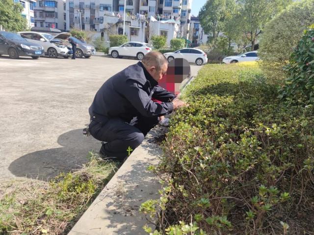逃学9日，一招制服，还让他痛呼要读书！遇到逃学，家长这样做