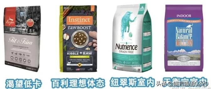 2021最全进口猫粮推荐，软便、胖喵适用粮一应俱全，猫家长速看