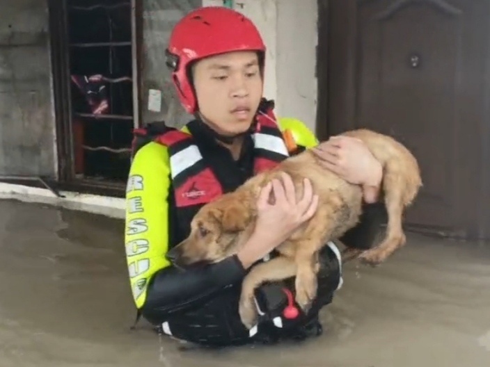 宁波逆行者回家,宁波风雨中的逆行者