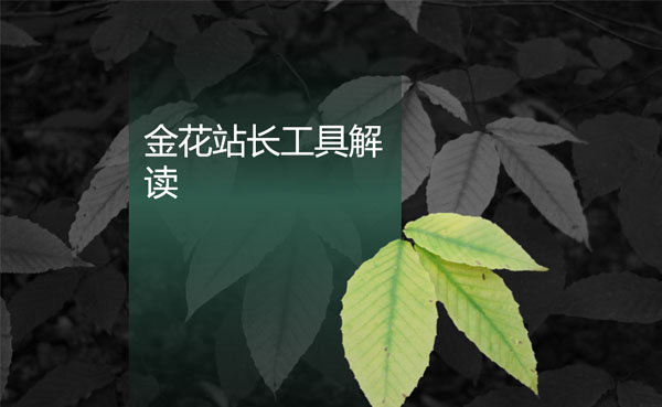 金花站长软件怎么使用,金花站长工具收费吗