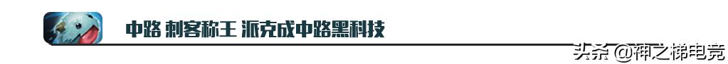 9.0版本龙龟,龙龟版本强势