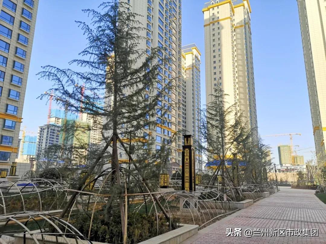 鍏板窞鏂板尯涔惧厓閲戞捣鍥介檯鍥灄缁垮寲,鍖犲績甯傛斂