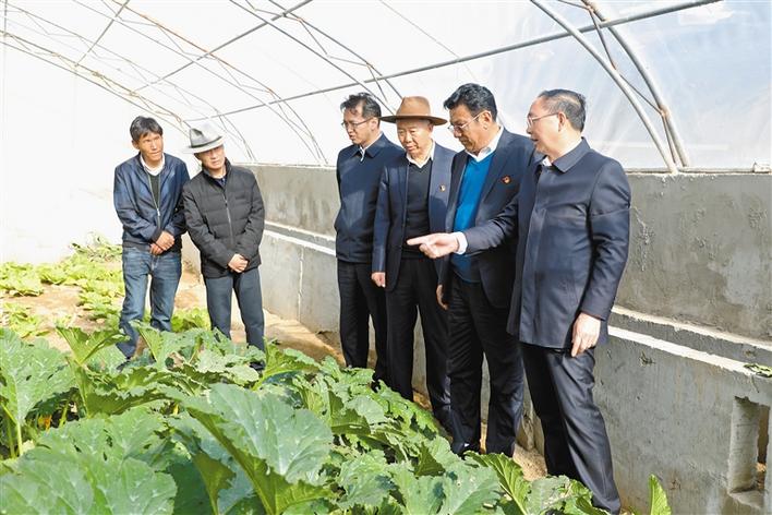 阿里地区广大*党**员干部*党**史领会教育纪实：边疆处处*党**旗红*党**史光辉耀阿里