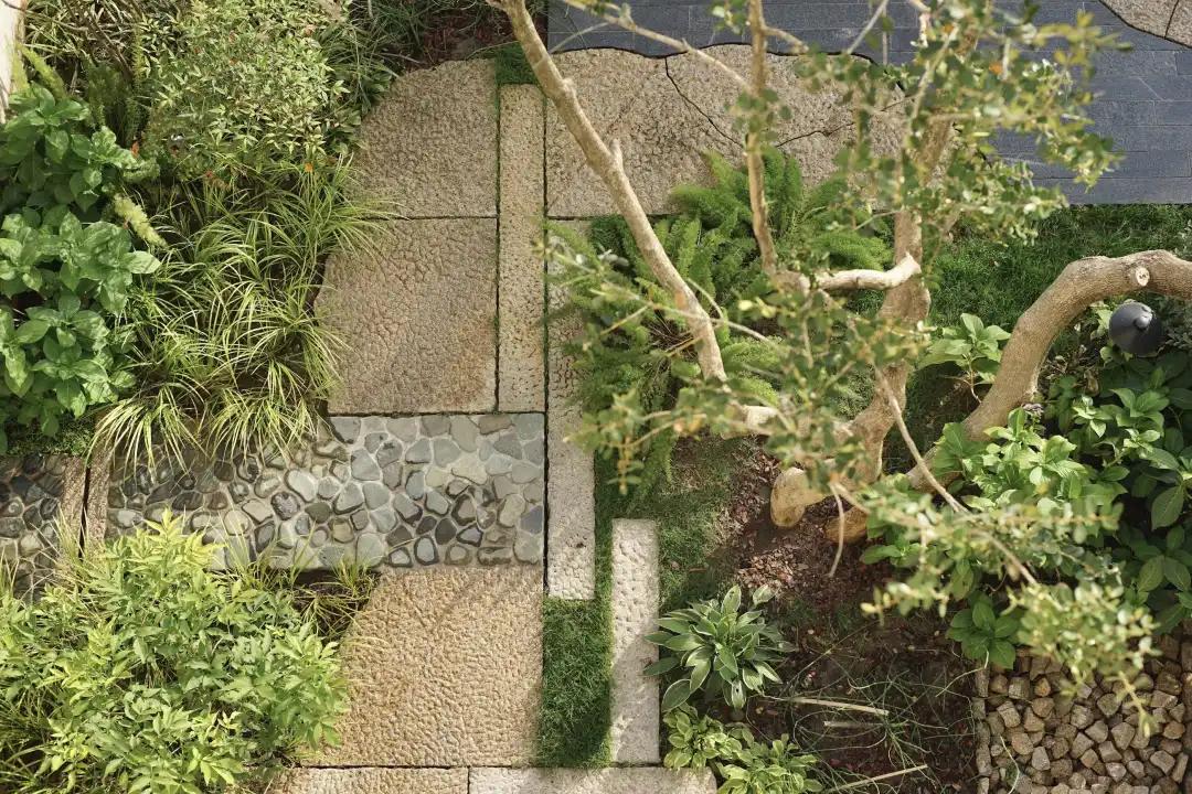 2019鸟瞰图,推荐鸟瞰图