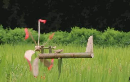近日李子柒视频走红,李子柒爷爷最火视频