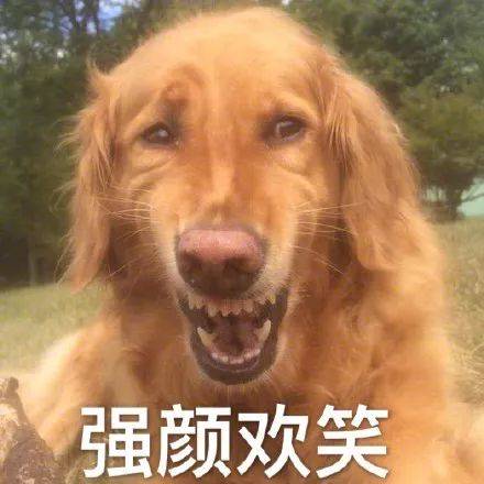一夜暴富的十个方法,有没有一个可以一夜暴富的方法