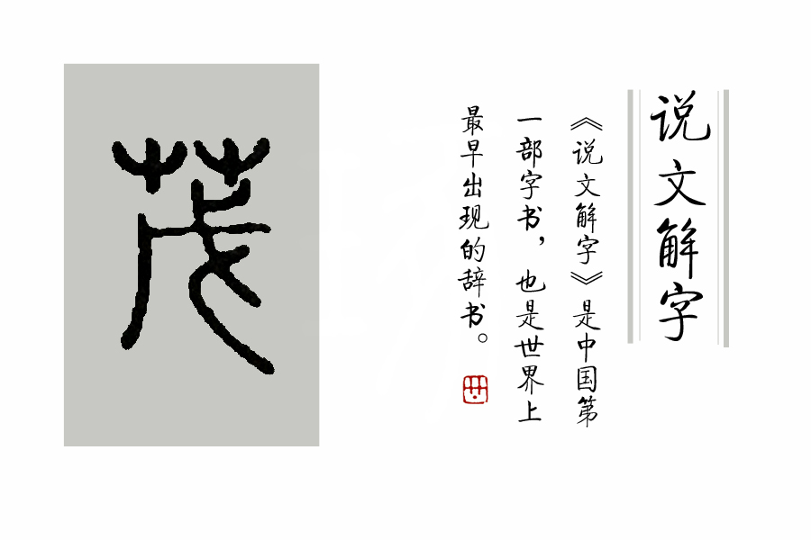 说文解字第339讲,说文解字第143课全集