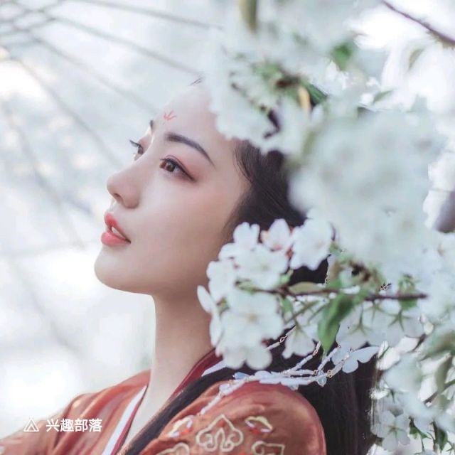 一笑相逢人间风月如尘土图片,一笑相逢人间风雪如尘土