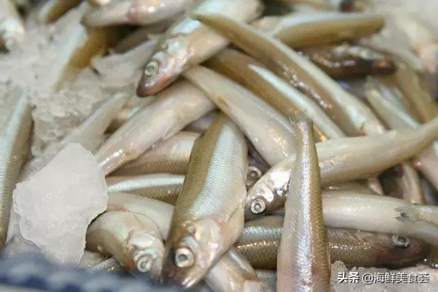 适合用来烧烤的海鱼,适合烧烤的海鱼品种