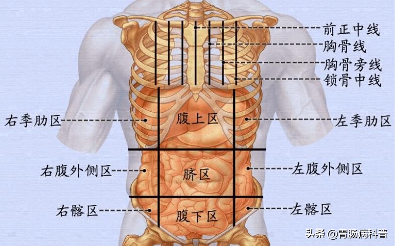 肚子疼一般要斟酌哪些问题,肚子痛最快的解决办法