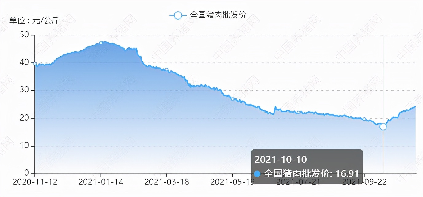 新手上路：猪肉股领会笔记|加减杂谈