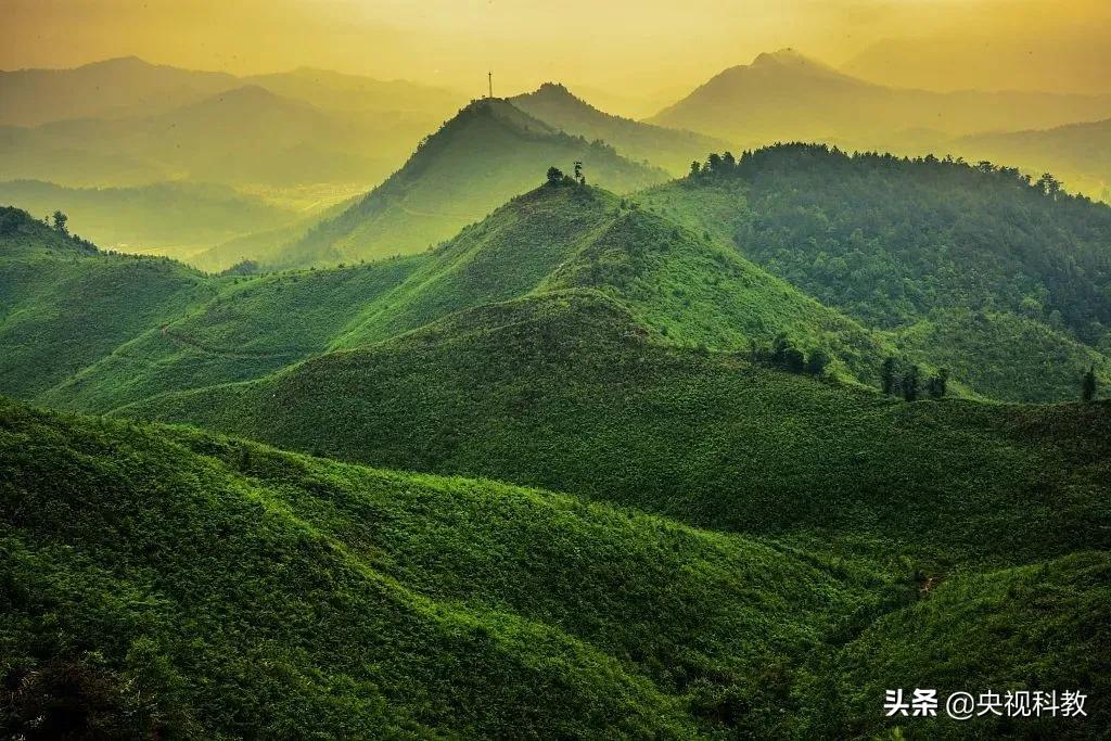 描写春天美景的成语或词语,形容春天的词语成语有哪些