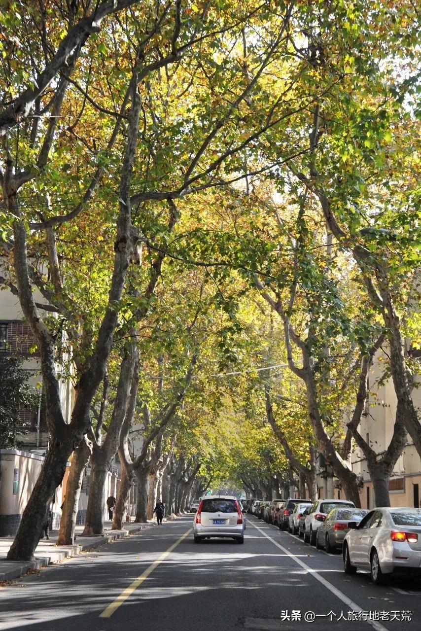 这才是12月最值得去的旅行地,11月12月去哪里旅游最美