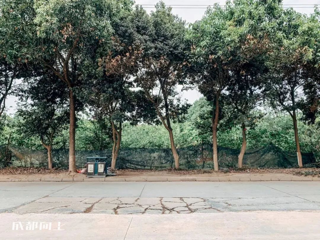新繁现状,新繁为什么发展不起来