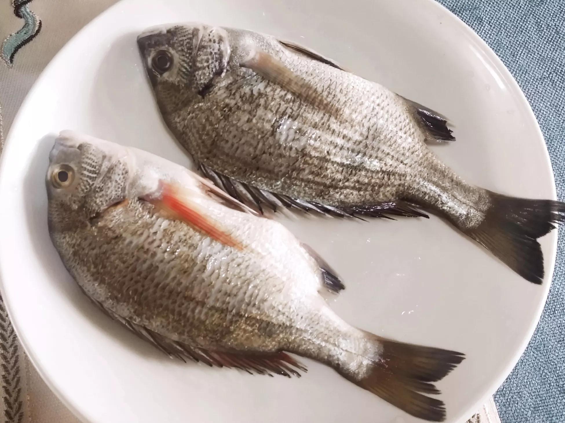 老一辈看不上现在的高级食材,最便宜的4种海鱼