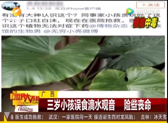 3岁孩子误食了药品属于意外吗,小孩误食绿植肥料怎么办