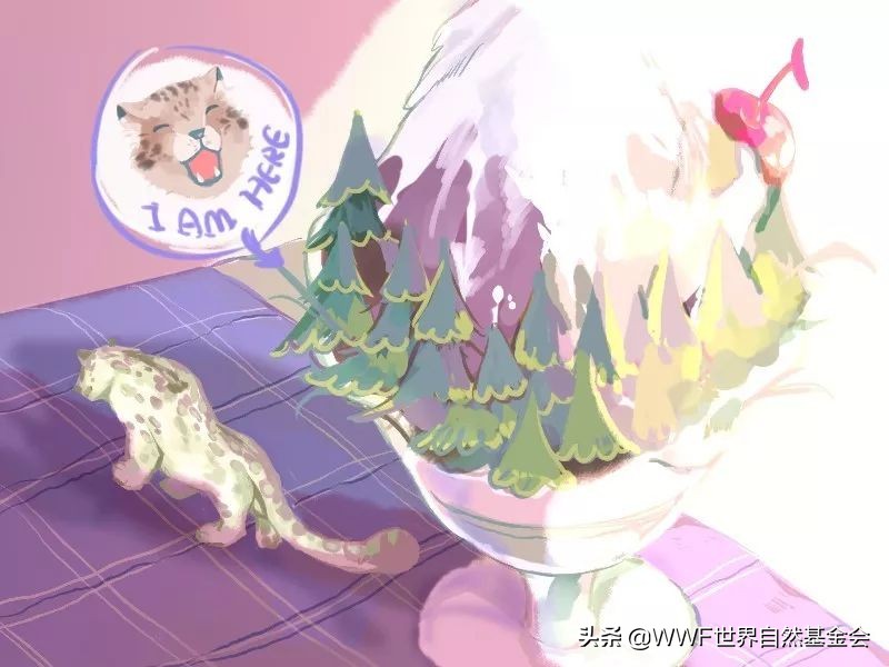 怎么品味红茶,怎样品味一壶好茶