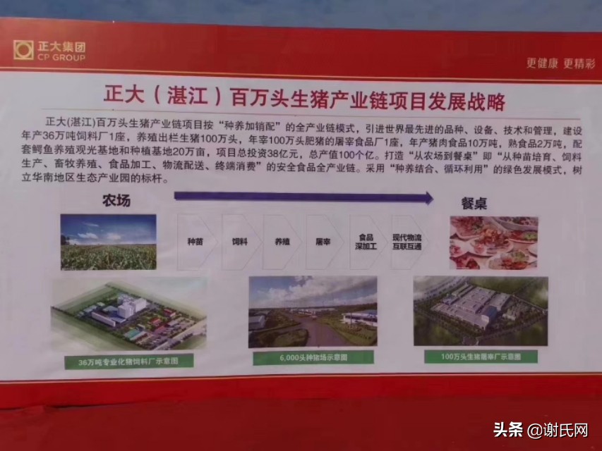 谢氏家族正大集团,正大集团谢氏家族有多少财富