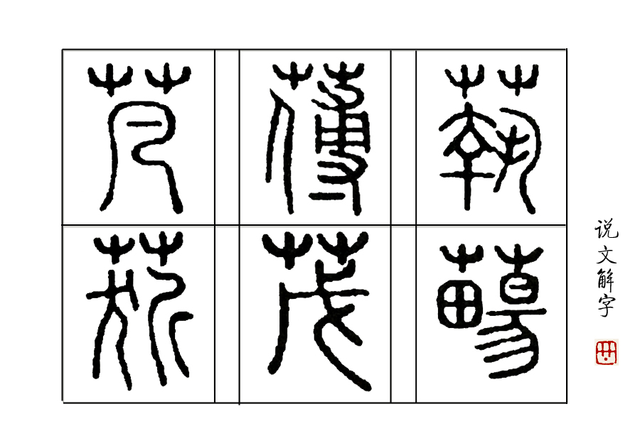 说文解字第339讲,说文解字第143课全集