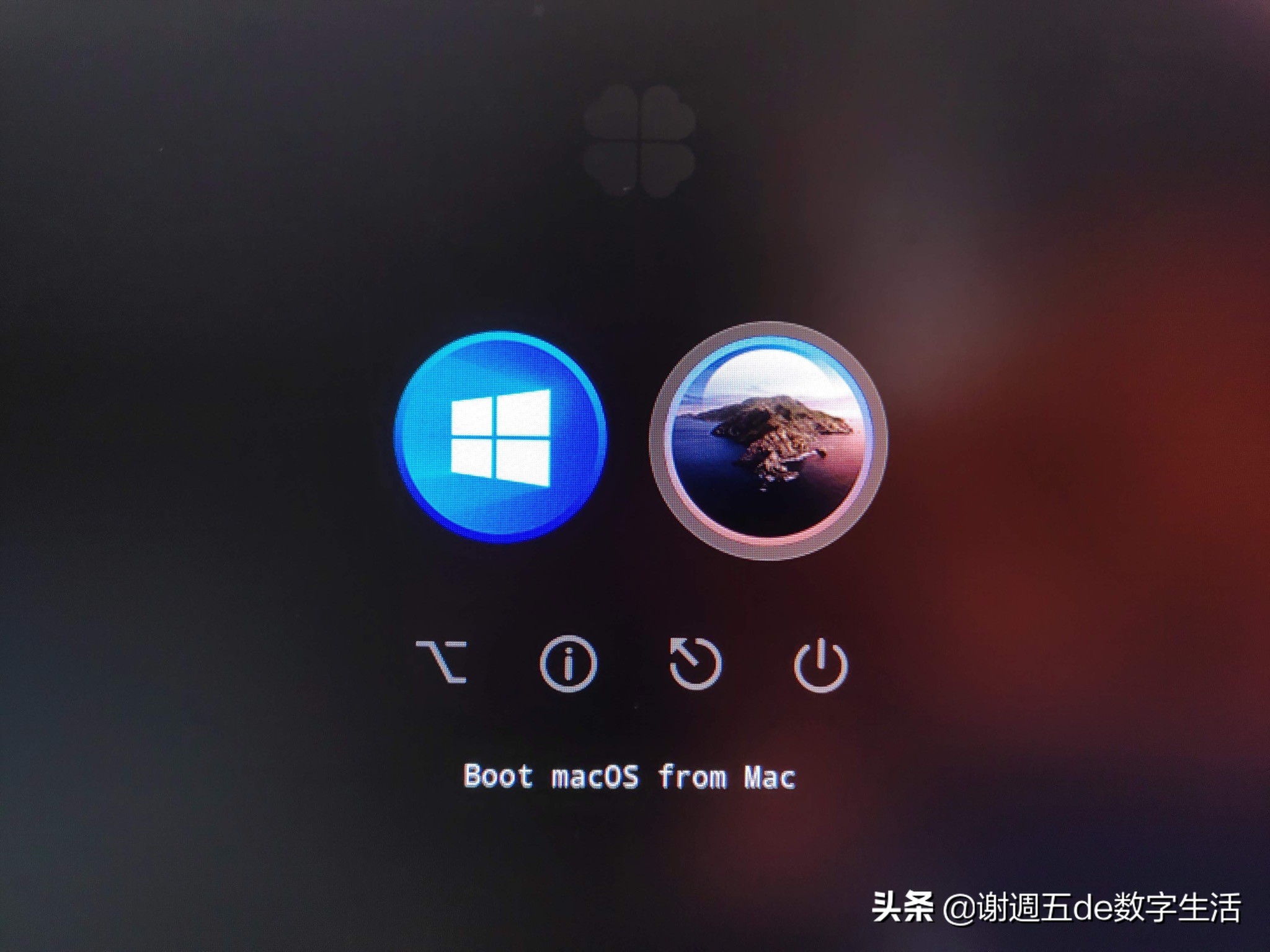 nuc8黑苹果评测性能,nuc8黑苹果详细教程