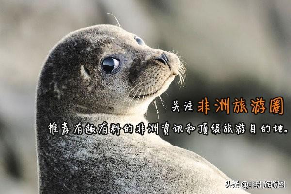 深入了解一座城市的方法，LP又帮你找到了一个