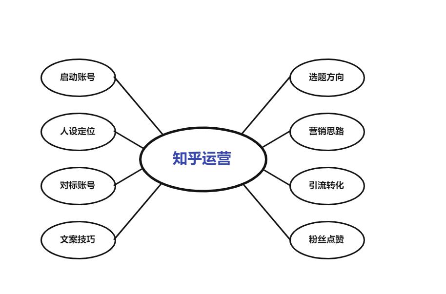 陈皮的商业运作模式,陈皮讲运营