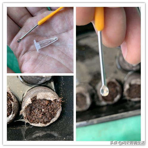 寓教于乐中成长与领会,寓教于乐中得到收获