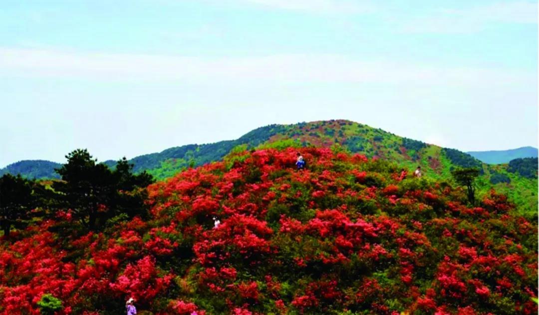 沈阳10月新闻,2018年12月11日沈阳新闻