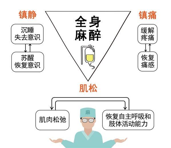 手术麻醉前禁食是什么原因,手术麻醉前为什么要禁食