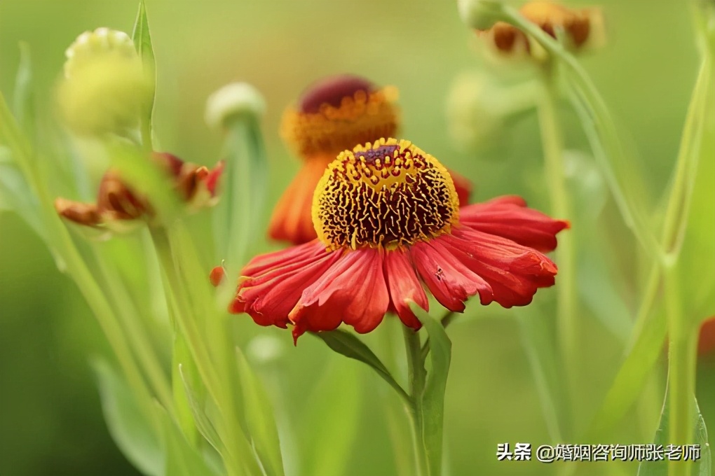 一个执意要离婚的男人怎么挽留,怎么样挽留要离婚的人